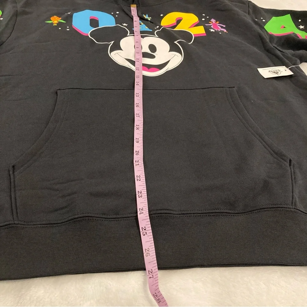 Disney Parks Walt Disney World 2024 Black Hoodie Men's L - Picture 13 of 14